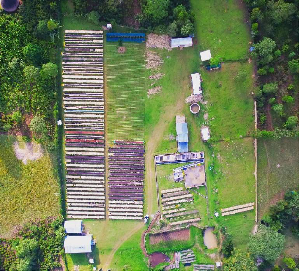 Ethiopia Boreta - Görsel 4